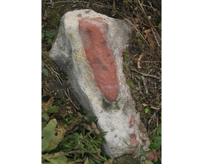 2025 12 06 Janos balatonrendes 700