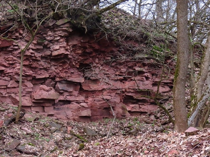 2026 02 14 fj 02 700